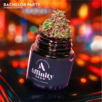 Bachelor Party Flower T22.37% H 00469 by Affinity Grow