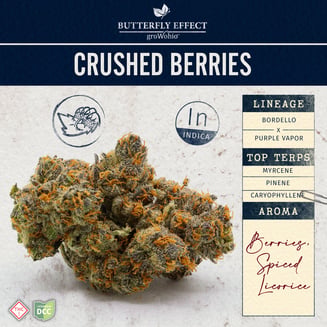 Crushed Berries [14.15g] by Butterfly Effect