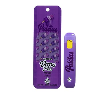 Paletas — Purple Grape
