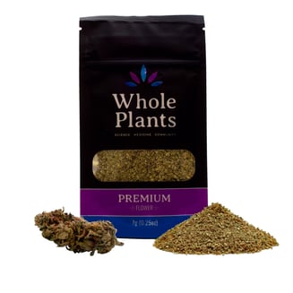 33 Sherbanger by Whole Plants