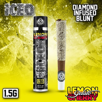 ICED — Lemon Cherry Gelato