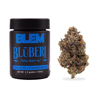 BLEM — Blueberry