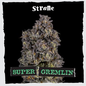 Strane — Super Gremlin
