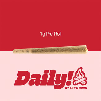 Daily! Campfire 1g Pre-roll 0094 by Daily!