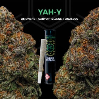Yah-Y [1g] by Honey Green
