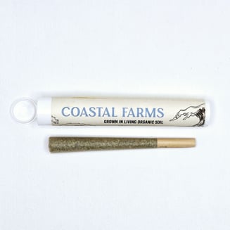 Vanilla Frosting [1g] by Coastal Farms