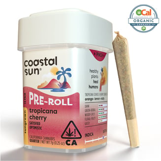 Coastal Sun — Tropicana Cherry