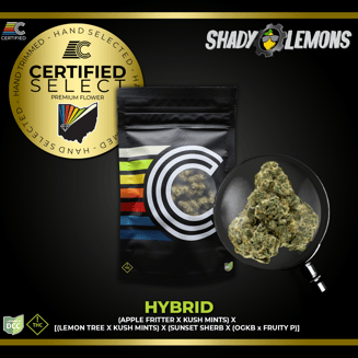 Shady Lemons [14.15g] by CERTIFIED