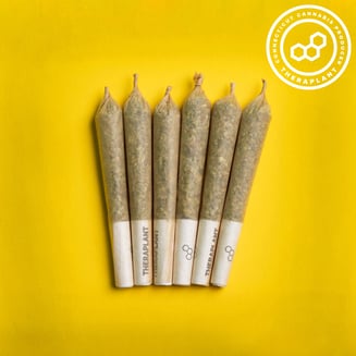 V6 Haze PR Minis 4401 by Theraplant