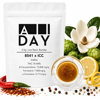 8541 x ICC [3.5g] by All Day