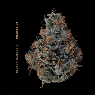 Orange 43 [14.15g] by Klutch Cannabis
