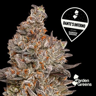 Dante's Inferno by Garden Greens