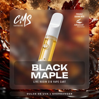 Black Maple