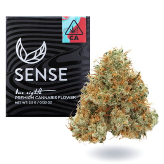 Sense — Northern Lights