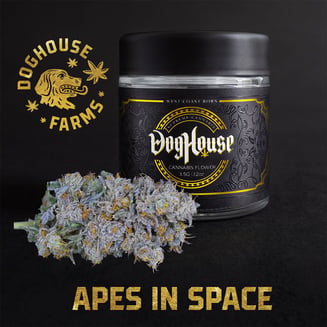 Apes in Space by DogHouse