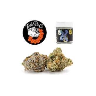 Turtle Pie — Gelato X