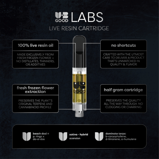 Beach Dosi by UB GOOD LABS