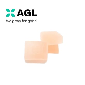 AGL 20 Pack Strawberry THC CBD Gummies 00561 by Advanced Grow Labs (AGL)
