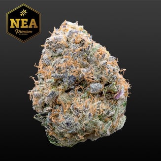 Lavender Jones by Northeast Alternatives