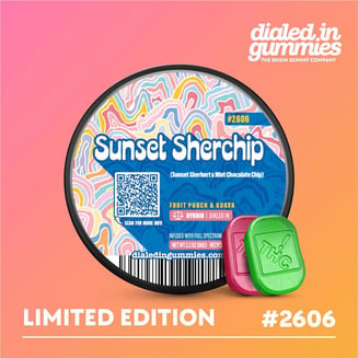 100mg - Sunset Sherchip #2606 - Rosin Gummies (10pk) by Dialed In Gummies