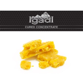 G13 Hell's OG by IgadI