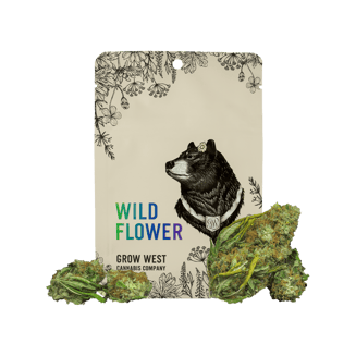 Purple Koala by Grow West