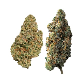 2-in-1 Variety Pack by SPLITZ