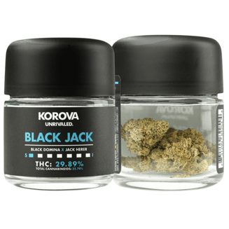 Black Jack by Korova