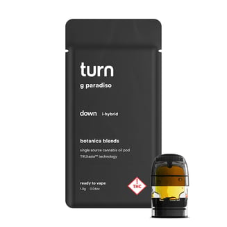 g paradiso by turn