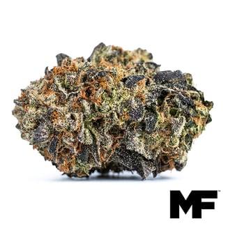 Modern Flower — Skunk Hero