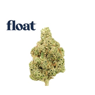 007UP by Float