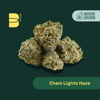 20:1 Chem Lights Haze [C4H] by Botanist