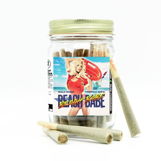 Beach Babe [1g] by Phat Panda