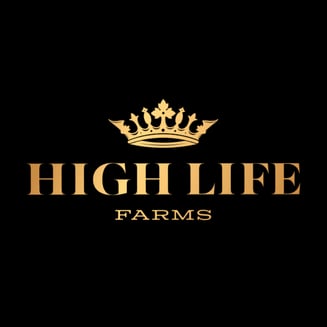 Dark Chocolate (200mg) by High Life Farms