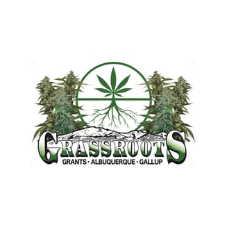 9lb Hammer by Grassroots - NM