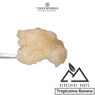 Dante's Inferno | Live Rosin by Treeworks