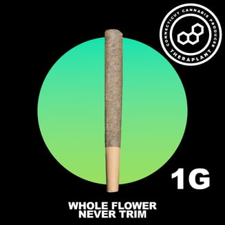 Garlic Fuel 1g PR 42071 by Theraplant