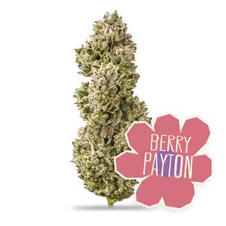 District Cannabis — Berry Payton