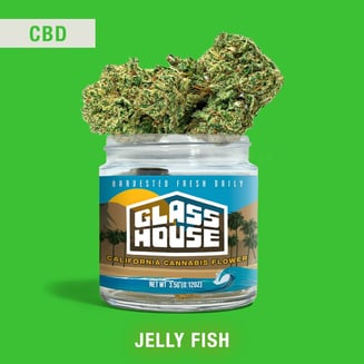 Glass House Farms — Jelly Fish