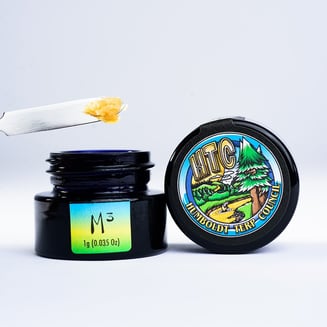 Humboldt Terp Council — Blooberry Z