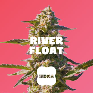 Drops: Watermelon - 20pc - River Float - Indica (100mg THC)))