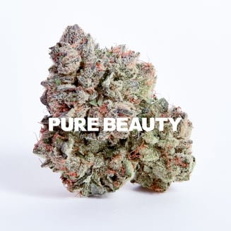 Pure Beauty: New Jack City #2