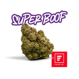 Super Boof by Fade Co.