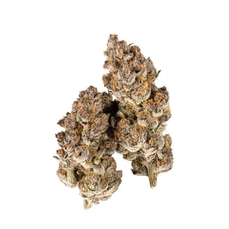 Super Boof by Cannect Wellness