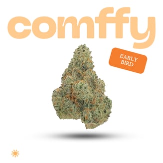 Comffy|Flower 3.5g|Early Bird 00243 by comffy