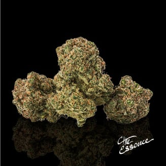 B52 Bomber by (the) Essence