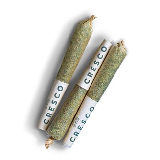 Apple Fritter [.5g] by Cresco™