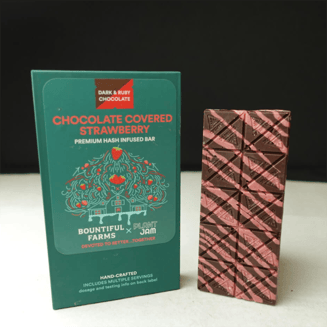 Dark Chocolate Covered Strawberry Bar (100mg) by Bountiful Farms