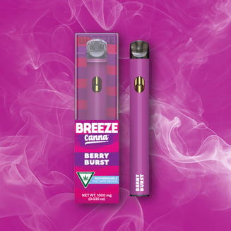 Berry Burst - Classic 1g PLUS Vape Device — BREEZE Canna by Breeze Canna