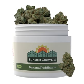SunMed Growers — Banana Puddintain